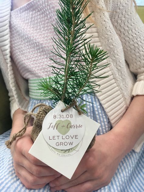 Little Saps | Tree Seedling Favor for Weddings, Baby Showers, and More. Wedding Favors Tree, Woodsy Wedding Favors, Tree Wedding Favors, Plant Wedding Favors, Country Wedding Favors, Tree Seedlings, Winter Wedding Favors, Winter Bridal Showers, Woodsy Wedding