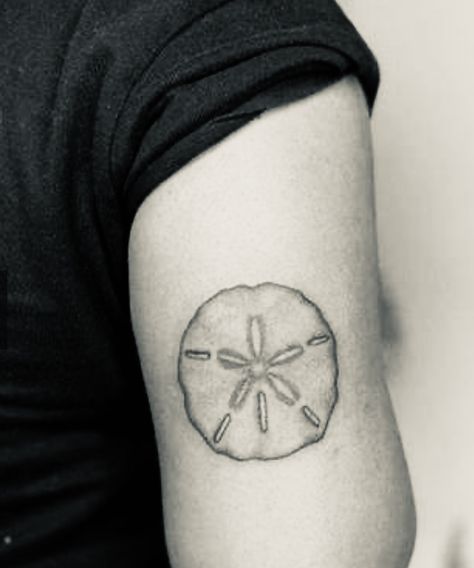 Fine Line Sand Dollar Tattoo, Sand Dollar Tattoo, Dollar Tattoo, Sand Dollar, Fine Line, Tattoo You, Tattoos For Women, Tatting, Tattoo Ideas