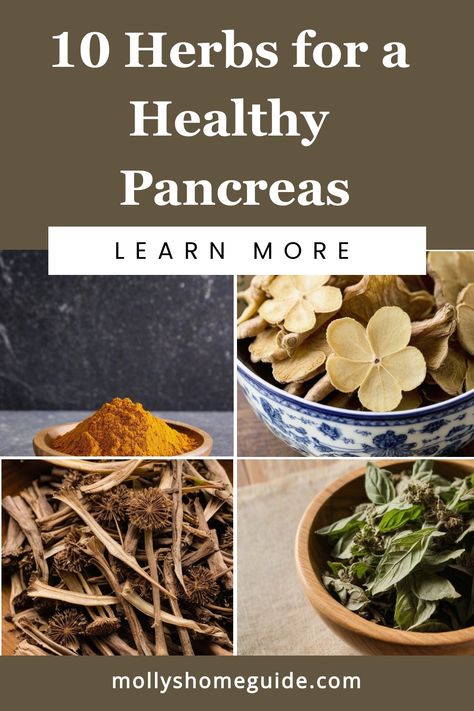 Discover the power of herbs for pancreas health with these natural remedies. Boost your pancreas health with the incredible benefits of incorporating Herbs for Pancreas Health into your daily routine. Nourish and support your body with nature's gifts to promote optimal Pancreas Health. Explore the holistic approach to wellness by including these effective herbs in your lifestyle. Prioritize your well-being by embracing the healing properties of Herbs for Pancreas Health today! Healing The Pancreas, Heal Pancreas Naturally, Herbs To Heal Pancreas, Food For Pancreas Health, Herbs For Pancreas Health, Healthy Pancreas Diet, Apothecary Supplies, Pancreatic Diet Recipes, Organ Health