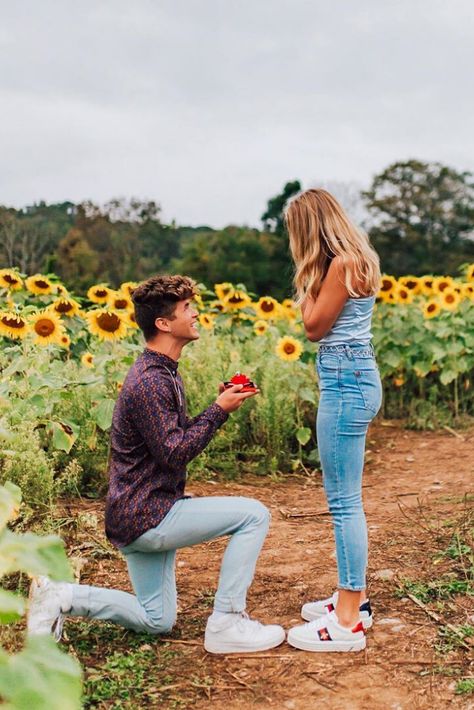 sunflower field proposal | summer engagement shoot | summer engagement photos | summer engagement photo ideas | Sussex County Sunflower Maze proposal | New Jersey Wedding photographer | New jersey engagement | where to propose in new jersey | NYC wedding photographer | Tri-State wedding photographer | Laurel Creative #njproposal #summerproposal Proposal In Sunflower Field, Simple Proposal Ideas With Family, Proposal Ideas Sunflowers, Sunflower Proposal Ideas, Sunflower Field Proposal, Simple Private Proposal Ideas, Christian Proposal Ideas, Summer Proposal Ideas, Farm Proposal Ideas