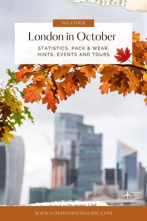 Autumn leaves in London