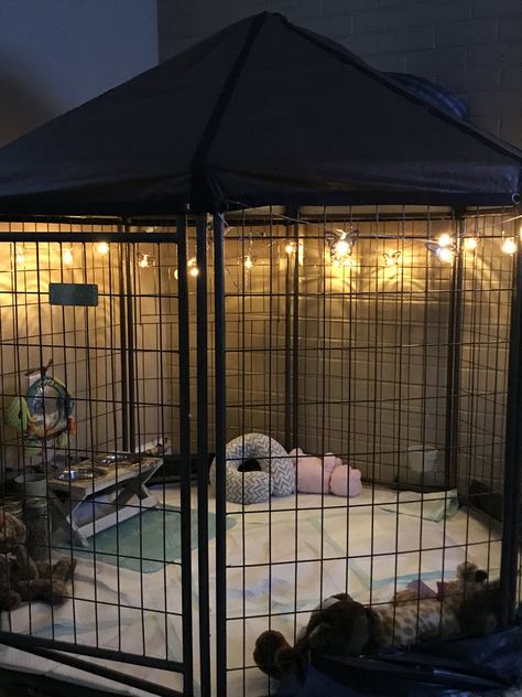 Picture Cute Bunny Pen Ideas, Puppy Cages Ideas, Puppies Cage Ideas, Cages For Dogs, Outside Pig Pen Ideas, Mini Pig Indoor Housing, Best Bunnies For Pets, Animal Room Ideas Pets Small Animals, Indoor Mini Pig Pen Ideas