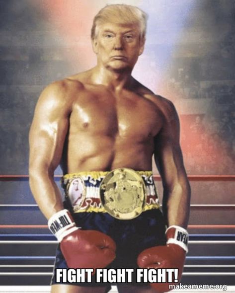 #maga #donaldtrump #fightfightfight #rocky #trumpvance2024 #fanboy Rocky Film, Rocky Balboa, Chuck Norris, Sylvester Stallone, Anger Management, Balboa, Us Presidents, Caricatures, Barack Obama