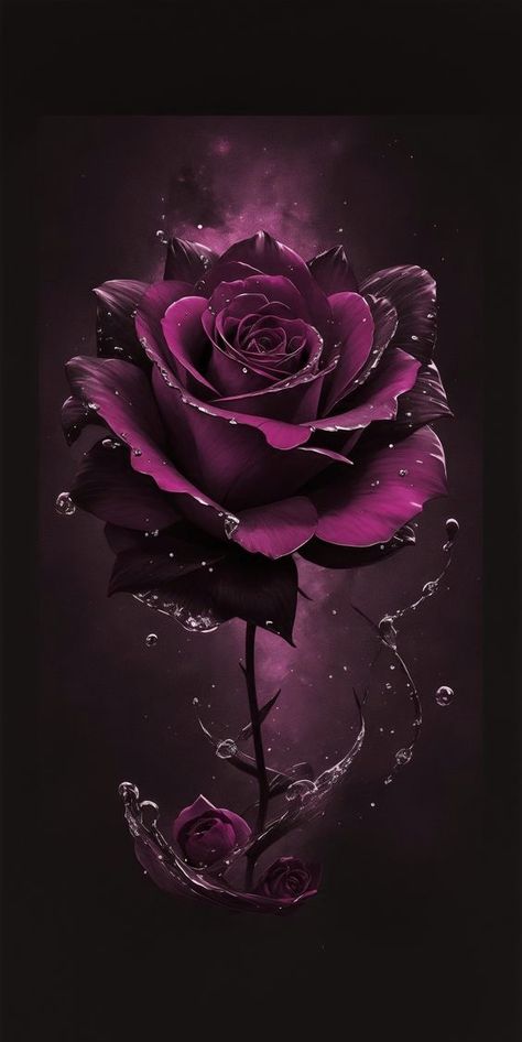 Pretty Flower Art, Purple Roses Wallpaper, Black Roses Wallpaper, Blue Roses Wallpaper, Rose Flower Photos, Red Roses Wallpaper, Purple Flowers Wallpaper, Rose Flower Pictures, Gothic Rose