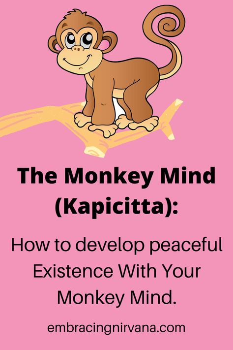 The Monkey Mind Esoteric Wisdom, Aladdin Art, Monkey Mind, Wise Mind, Staying Focused, Mental Health Recovery, Buddhist Teachings, Buddha Teachings, A Monkey