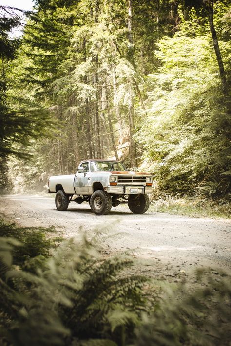 Dodge First Gen, 1st Gen Dodge Cummins, Cummins Wallpaper, First Gen Cummins, First Gen Dodge, Old Chevy Pickups, 2nd Gen Cummins, Hunting Truck, Cummins Diesel Trucks