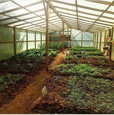 Homemade Greenhouse, Simple Greenhouse, Greenhouse Farming, Diy Greenhouse Plans, Farm Plans, Build A Greenhouse, Home Greenhouse, Backyard Greenhouse, Greenhouse Plans