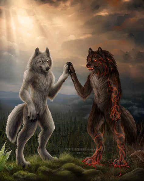 Duality by Sidonie on DeviantArt Wolf Meme, Alpha Werewolf, Desen Realist, Wolf Images, Alpha Wolf, Werewolf Art, Vampires And Werewolves, Wolf Pictures, Wolf Spirit