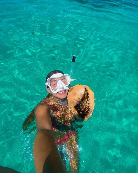 Sometimes it blows my mind that this is my life and my home and places like this even exist 🥹🥹 Tropical Beach Vacation, Hawaii Sea, Ocean Shells, Hawaii Holiday, Beach Wall Collage, Beachy Aesthetic, This Is My Life, Tropical Girl, Surf Vibes