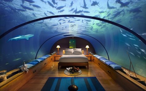 You can hire underwater suites in Burj Al Arab, Dubai with giant fishes hovering over you Poseidon Undersea Resort, Underwater Hotel Room, Underwater Bedroom, جزر المالديف, Underwater Room, Underwater Hotel, Maldives Hotel, Sea Holiday, Fairy Pools