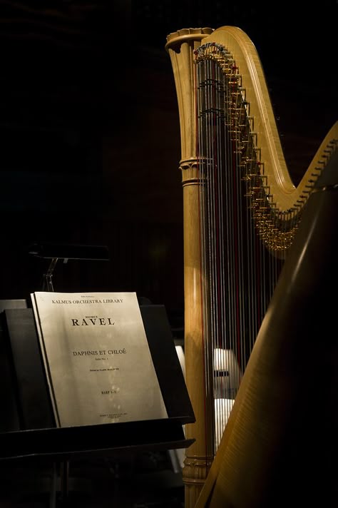 Harp | <b>This one is for you, P.I.</b> Nikon D3s + 24-70mm f/2.8G | Casa da Música, Porto, PT, 17 March 2012 © 2012 José Francisco Salgado, PhD Do not use without permission. Harpist Aesthetic, Harp Aesthetic, Pretty Instruments, Dark Wings, Arabian Beauty, Music Student, Music Heals, Music Aesthetic, The Secret History