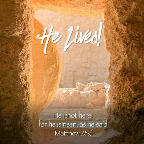 He Is Risen Easter Images, He Is Risen Facebook Cover Photos, Matthew 28:6 Easter, He’s Not Here He’s Risen, Christ Has Risen Art, He Is Risen Gif, He’s Risen, He Is Not Here For He Has Risen Quotes, He Is Risen Wallpaper Aesthetic