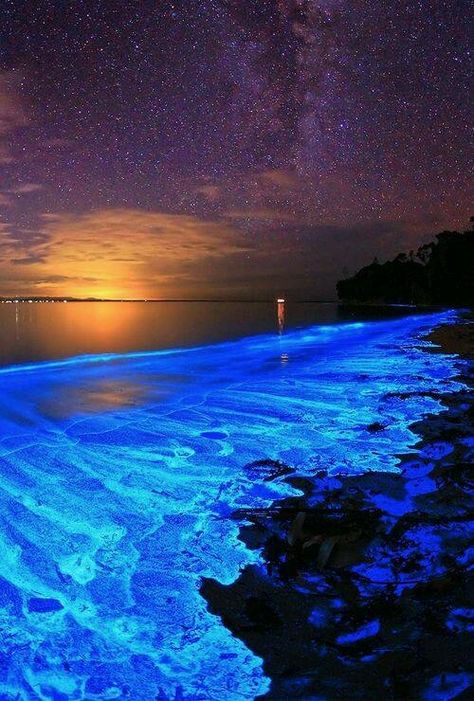 Australian Sunset illuminated with the blue glow of bioluminescent algae. Jervis Bay, Sea Of Stars, Australia Travel, Amazing Nature, Belle Photo, Maldives, Beautiful Beaches, Night Sky, Beautiful World