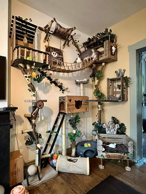 Cat House Aesthetic, Cat Box Fort, Diy Cat Furniture Apartments, Cat House Ideas Indoor, Cat Shelf Wall Diy, Cat Friendly Room Ideas, Aesthetic Cat Room Ideas, Indoor Pet Area, Bedroom Cat Ideas