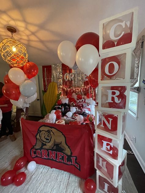 Commitment Party College, Cornell University Acceptance Letter, Cornell Acceptance Letter, Bed Decorating College Acceptance, Cornell Acceptance, College Acceptance Room Decorating, College Bed Decorating Party, College Acceptance Photoshoot, Cornell Graduation