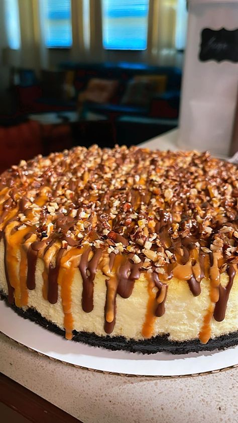 Cheesecakes Aesthetic, Thanksgiving Desserts Cake, Cheesecake Aesthetic, Turtle Cheesecake Recipes, Earth Cake, Mini Turtle, Fun Thanksgiving Desserts, Turtle Cheesecake, Cheesecake Lovers