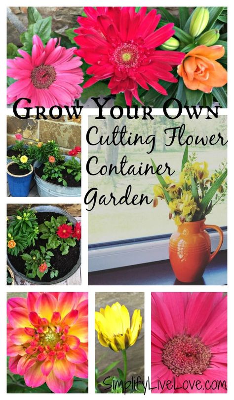 Flower Container Garden, Box Gardens, Garden Bed Plans, Organic Gardening Pest Control, Window Box Garden, Diy Landscaping Ideas, Growing Cut Flowers, Raised Garden Bed Plans, Golden Afternoon