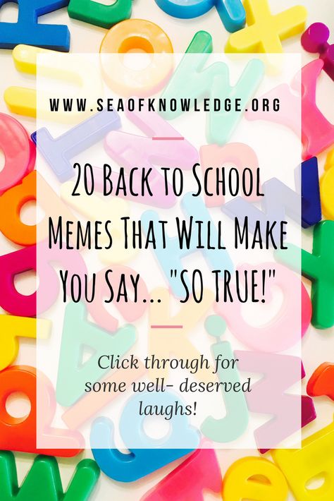 Back to School Funny Quotes That Make Will Make You Say “So True!” Back to school time isn't a teacher's favorite time of the year, here are a list of 20 real-life TRUE moments that all teachers could relate to! Click through to laugh and read 20 funny back to school quotes that will make teachers say SO TRUE! #teachers #backtoschool #backtoschoolquotes #teachermemes #teacherhumor Funny School Sayings, Back To School Humor For Teachers, School Starting Quotes Funny, Teacher Quotes Funny Motivational, Motivational Quotes For Teachers Funny, Back To School Teacher Quotes Funny, Back To School For Teachers Quotes, First Day Teacher Quotes, Quotes About School Funny