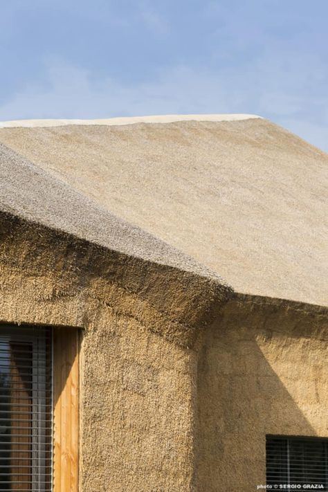 Guinée*Potin architectes, Sergio Grazia · Museum & biodiversity research center, Beautour Clay Architecture, Thatch Roof, House Magazine, Climate Adaptation, Brown Roof, Exhibition Room, Timber Architecture, Architecture Design Drawing, Thatched Roof