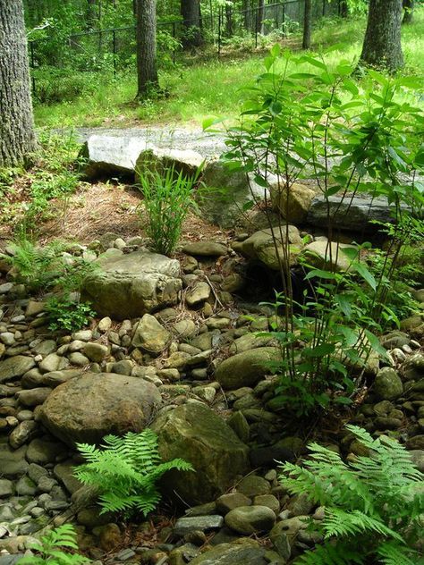 Garden With Rocks, Rain Garden Design, Rain Gardens, Dry River, Dry Creek, The Secret Garden, Rain Garden, Gardening Advice, Woodland Garden