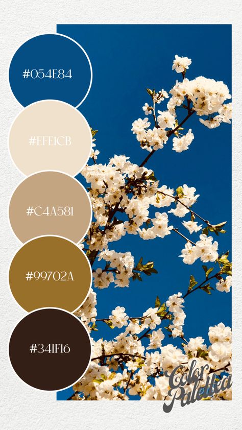 Pantone Spring 2023, Spring 2023 Color Trends, Spring Nail Colors 2023, Nail Colors 2023, 2023 Color Trends, Pantone 2024, March Colors, August Colors, Colour Codes