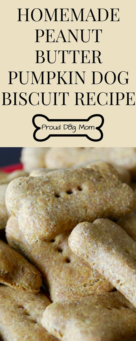 Homemade Peanut Butter Pumpkin Dog Biscuit Recipe | DIY Dog Treats | Pumpkin Dog Biscuits, Canned Pumpkin Recipes, Doggy Treats, Dog Biscuit, Dog Biscuit Recipes, Pumpkin Recipes Easy, Doggie Treats, Peanut Butter Pumpkin, Biscuit Recipes