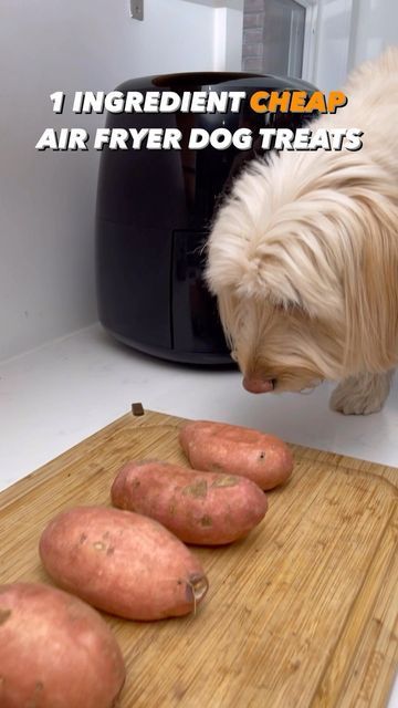 Dog Child on Instagram: "CHEAP Air Fryer Treats! 🍠 These are so easy and affordable to make! Cost only 2 cents a treat and low cal🤩 🐶Preheat your air fryer to 400 degrees 🐶Cut your sweet potatoes into tiny treats 🐶Spray with a tiny bit of coconut oil 🐶Air fry for 12 minutes shaking halfway 🐶Follow for more easy recipes! #sweetpotato #oneingredient #quickrecipe #easy #easyrecipe#dogtreats #homemadedogtreat #homemadedogfood #cookingformydog #cookformydog #athomecooking #healthypup #nutritionalmeal #dogmom #dogdad #recipesfordogs" Air Fryer Treats, Cheap Air Fryer, Fried Dog, Sweet Potato Dog Treats, Healthy Dog Treats Homemade, Daisy Dog, Air Fried Food, Sweet Potatoes For Dogs, Tiny Treats