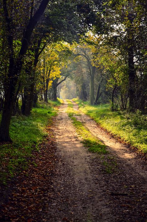 Rural road (Poland) by anna.night cr. Matka Natura, Beautiful Roads, Country Roads Take Me Home, Forest Path, Dirt Road, Back Road, Green Grass, Amazing Nature, Nature Pictures