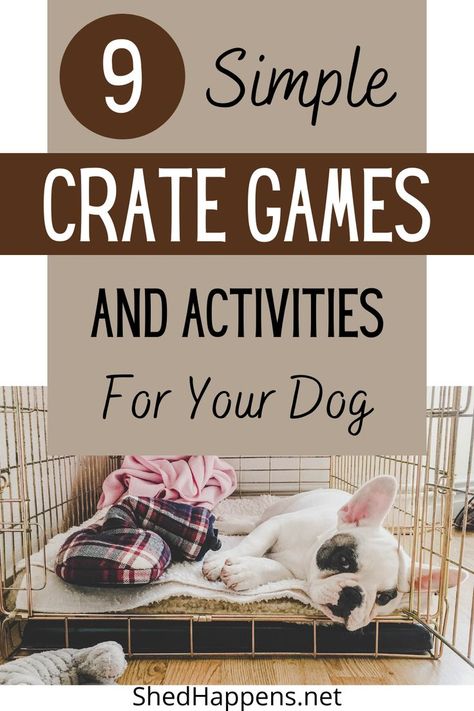 dog laying in a crate | 9 simple crate games and activities for your dog How To Entertain Puppies, Crate Games For Puppies, Activities For Dogs On Crate Rest, Dog Kennel Activities, Puppy Games Training, Activities For Puppies, Dog Crate Enrichment, Keeping Puppy Busy Ideas, Puppy Crate Setup