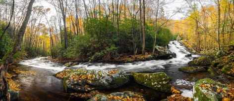 Panoramic Landscape, Panorama Photography, Photography Composition, Panoramic Photography, Composition Photography, Photography Courses, Photography Workshops, Dark Room, Fun To Be One