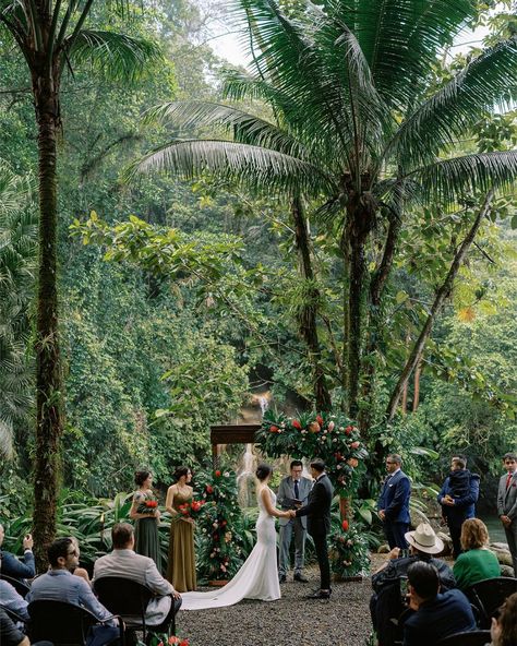 Costa Rican Wedding, Jungle Wedding Theme, Brazil Wedding, Tropical Wedding Venue, Mexico Wedding Venue, Jungle Wedding, Tropical Wedding Theme, Forest Theme Wedding, Waterfall Wedding