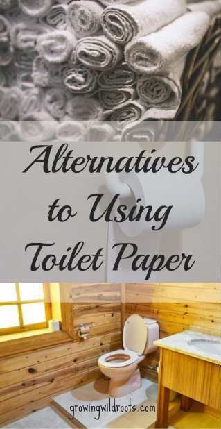 Alternatives to Using Toilet Paper: Why Choose another Bathroom Option Eco Toilet, Eco Friendly Toilet Paper, Japanese Toilet, Plastic Free Living, Diy Toilet, Eco Living, Going Green, Toxin Free, Eco Friendly Living