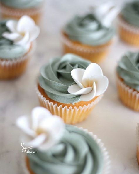 2,335 Likes, 18 Comments - Sweet Bloom Cakes (@sweetbloomcakes) on Instagram: “Finishing a relaxed long weekend with sage green cupcakes and frangipanis 🌸🌸🌸” Sage Green Cupcakes, Green Bridal Showers, Green Cupcakes, Decorated Cupcakes, White Cupcakes, White Baby Showers, Cupcake Cake Designs, Green Baby Shower, Bridal Shower Cakes