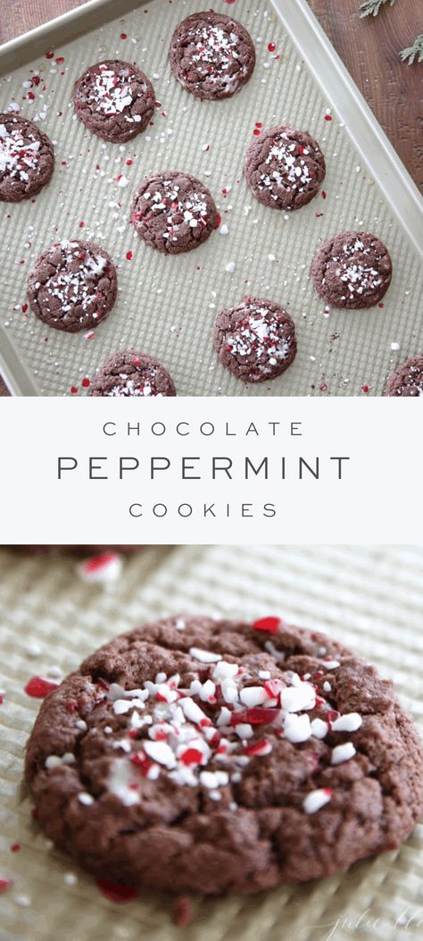 Peppermint Cookies Chocolate, Chocolate Peppermint Cookies Recipe, Peppermint Christmas Cookies, Peppermint Cookie Recipe, Chocolate Christmas Cookies, Christmas Cookie Recipes Holiday, Fall Cookie Recipes, Peppermint Recipes, Chocolate Mint Cookies