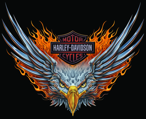 harley-davidson shield tattoo for woman | ... .bullgallery.com/2012/09/download-7-harley-davidson-eagle-logos.html Art Harley Davidson, Logo Harley Davidson, Harley-davidson Sportster, Tatoo 3d, Harley Tattoos, Harley Davidson Crafts, Harley Davidson Quotes, Harley Davidson Eagle, Harley Davidson Images