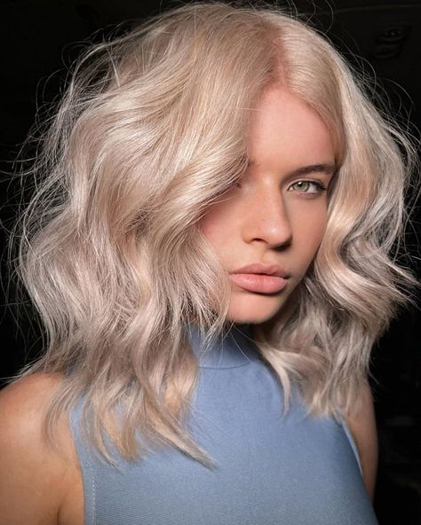 Champagne Blonde Vs. Ash Blonde: A Quick Guide Champagne Blonde Hair With Money Piece, Crisp Blonde Hair, All Over Blonde Vs Highlights, Short Champagne Blonde Hair, Platinum Champagne Blonde, Shades Eq Champagne Blonde Formula, Champagne Color Hair, Light Champagne Blonde Hair, Cool Champagne Blonde Hair