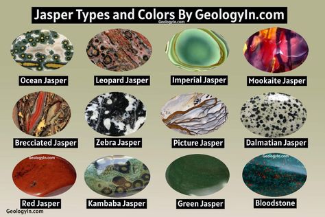 Jasper - Types and varieties of Jasper (Photos) - Geology In Jasper Types, Dalmatian Stone, Metamorphic Rocks, Types Of Opals, Green Jasper, Dalmatian Jasper, Crystal Geode, Crystal Magic, Beautiful Dark Art