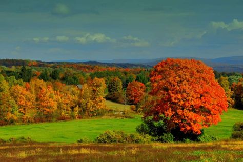 Fall Foliage Photography in Southwestern Vermont Fall Foliage Vermont, Vermont Road Trip, Vermont Fall Foliage, Southern Vermont, Bennington Vermont, Vermont Vacation, Vermont Fall, Leaf Peeping, Fall Photography