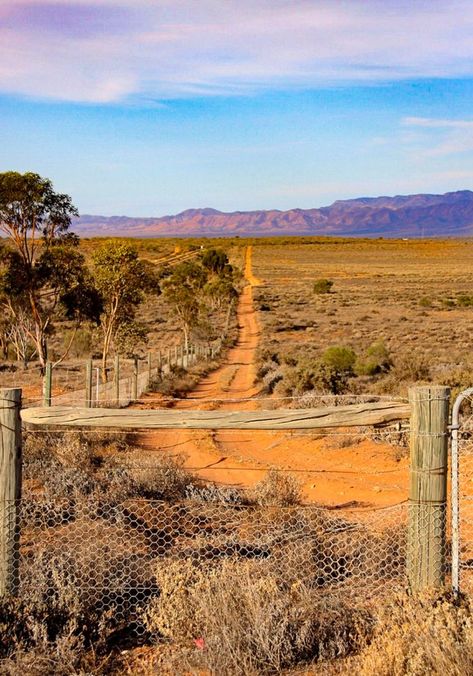 Outback track (South Australia) by Georgie Sharp Australian Scenery, Aussie Outback, Australia Outback, Flinders Ranges, Australia Landscape, Australian Photography, Australian Landscape, Australian Outback, Coral Sea