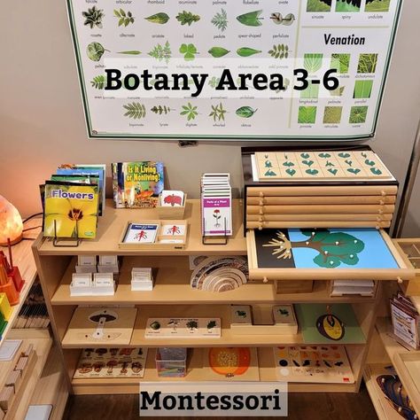 Early Childhood Montessori, Montessori Classroom Organization, Geography Montessori Shelf, Montessori Shelf Work Kindergarten, Montessori Botany Activities, Montessori Classroom Layout Elementary, Small Montessori Classroom, Montessori Primary Classroom, Montessori Classroom Set Up