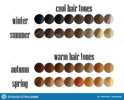 Illustration about Stock vector seasonal color analysis hair colors palette for all types of female appearance. Illustration of clear, light, dark - 145381560 Hair Colors Palette, Best Lipstick Color, Perfect Hair Color, Cool Skin Tone, Hair Color Chart, Seasonal Color Analysis, Hair Color Purple, Deep Winter, Colors Palette