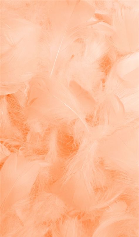 Peach Wedding Decorations, Cmf Design, Beauty Hair Color, Peach Wallpaper, Peach Background, Peach Aesthetic, Peach Trees, Rose Orange, Peach Wedding