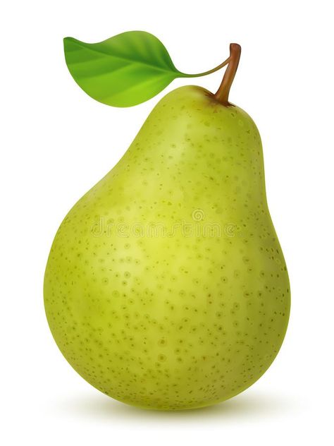 Pear Drawing, Agriculture Photography, Vegetable Illustration, Fruits Images, Beautiful Fruits, Food Out, Fruits Vegetables, Today Only, Processed Food