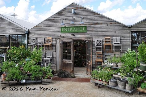 Garden marries home at destination nursery/garden shop Terrain - Digging Garden Shop Display Retail, Garden Store Design, Greenhouse Nursery Business, Retail Greenhouse Display Ideas, Garden Shop Ideas, Garden Nursery Ideas, California Garden Design, Greenhouse Cafe, Garden Huts