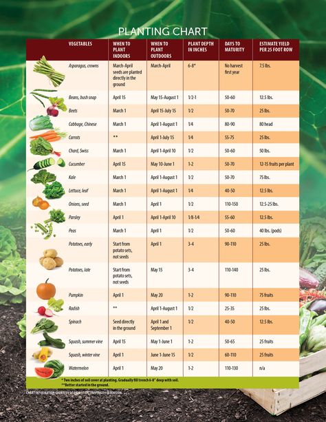 When the snow starts to melt and the ground thaws, many are itching to get outdoors and start planting their garden for the summer season. But planting dif When To Plant Garden, Planting Chart, Ohio Garden, When To Plant Vegetables, When To Plant, Garden Vines, Fall Garden Vegetables, Plant Table, Starting A Garden