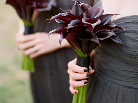 Symbolic Meanings of Wedding Flowers  | Photo by: Q Weddings | TheKnot.com Calla Lily Bridesmaid Bouquet, Calla Lillies Bouquet, Black Calla Lily, Wedding Burgundy, Calla Lily Bouquet, Tropical Wedding Flowers, Lily Wedding, Lily Bouquet, Dark Wedding