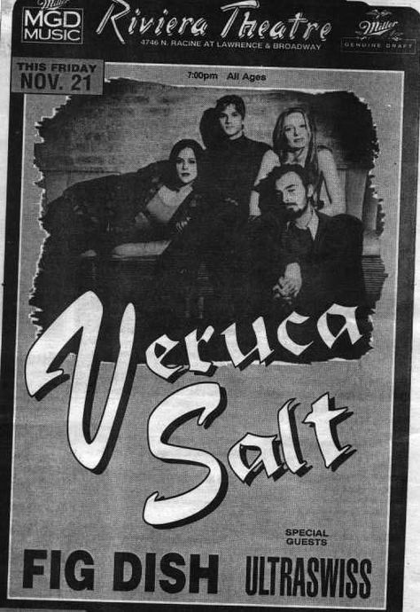 Veruca Salt Poster, Veruca Salt Band, Louise Post, Nina Gordon, Veruca Salt, Widget Aesthetic, Grey Eyeshadow, Riot Grrrl, Music Taste