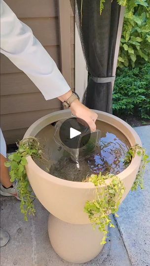 48K views · 1K reactions | Patio pond tutorial! Learn how to set one up at home! 
#fish #pond #nature | Aquapros | Aquapros · Original audio Home Fish Pond, Patio Fish Pond, Container Fish Pond, Small Backyard Ponds, Container Pond, Fish Pond Gardens, Patio Pond, Diy Fountain, Pond Ideas