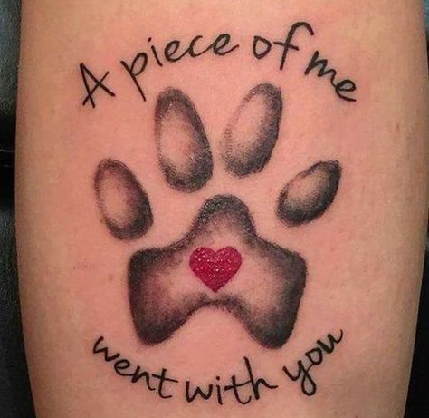 12+ Best Basset Hound Tattoo Ideas | Page 4 of 10 | The Paws Place Tattoo, Tatoo Dog, Lucky Ducky, Dog Memorial Tattoos, Pawprint Tattoo, Dog Paw Tattoo, Petit Tattoo, Remembrance Tattoos, Special Tattoos