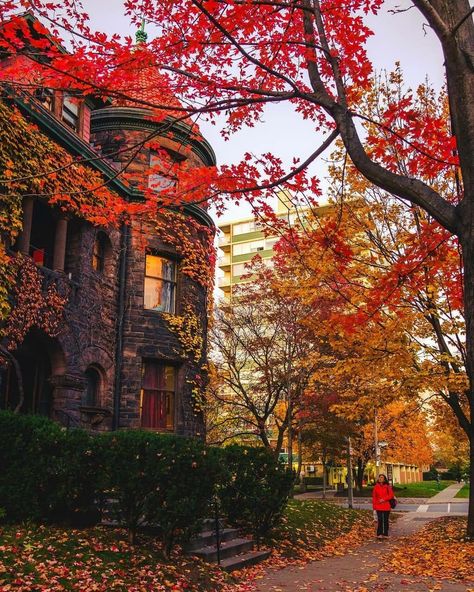 Fall Aesthetics Fall Aesthetic Bedroom, October Country, Autumn Magic, Fotografi Alam Semula Jadi, Autumn Scenes, Halloween Vibes, Red Leaves, Autumn Scenery, Autumn Beauty